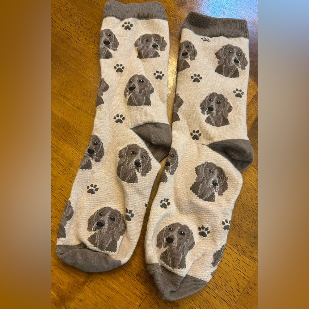 Weimaraner Dog Patterned Socks